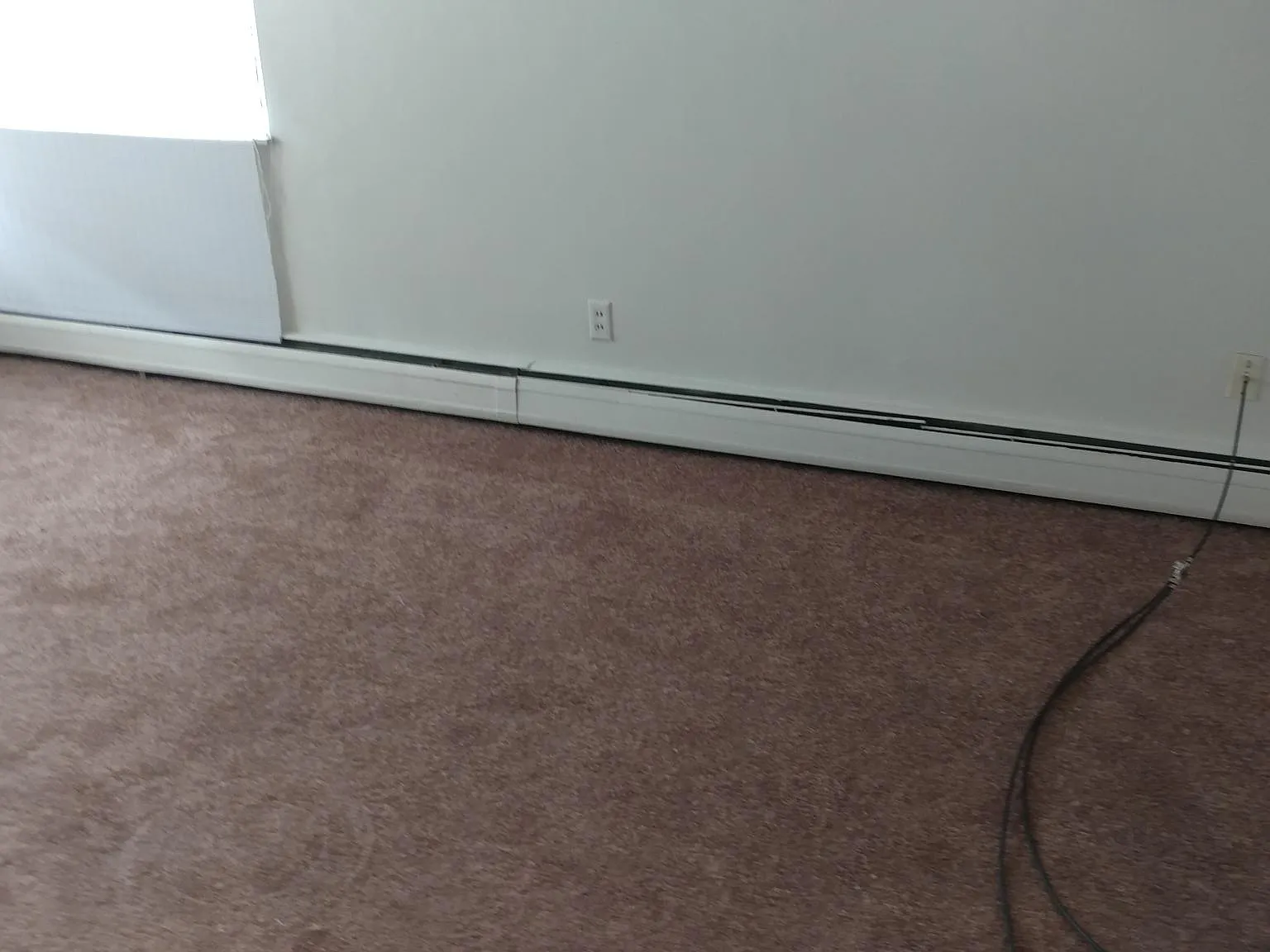 2 bed, 900 sqft, $1,100 — Photo 3