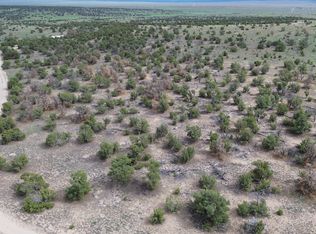 20 Horseshoe Cir #20, Quemado, NM 87829