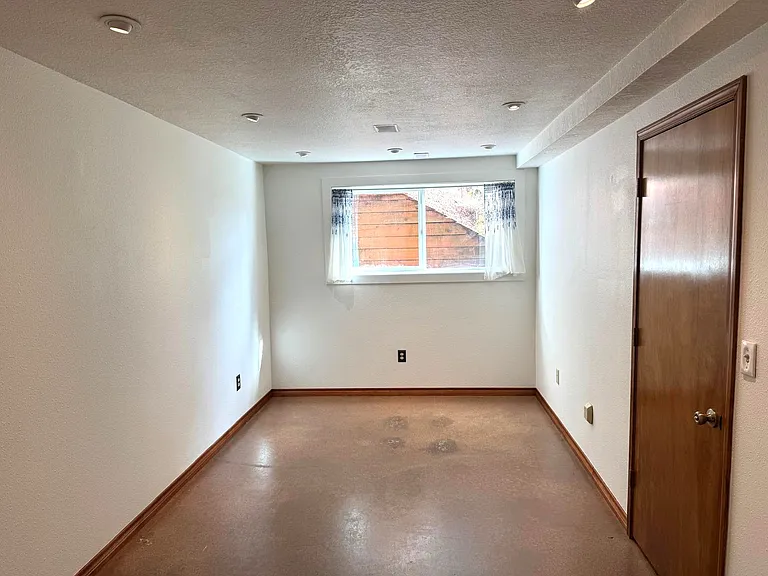 Lower level bedroom/ office