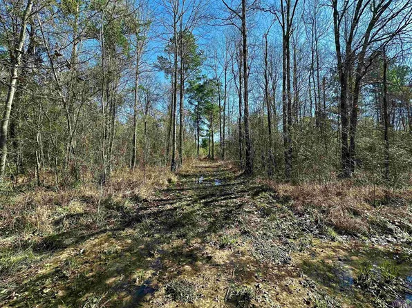 D 4 A Stella Ln, Walker, LA 70785