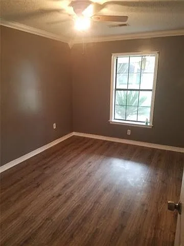 308 Camelia Ave — Photo 8
