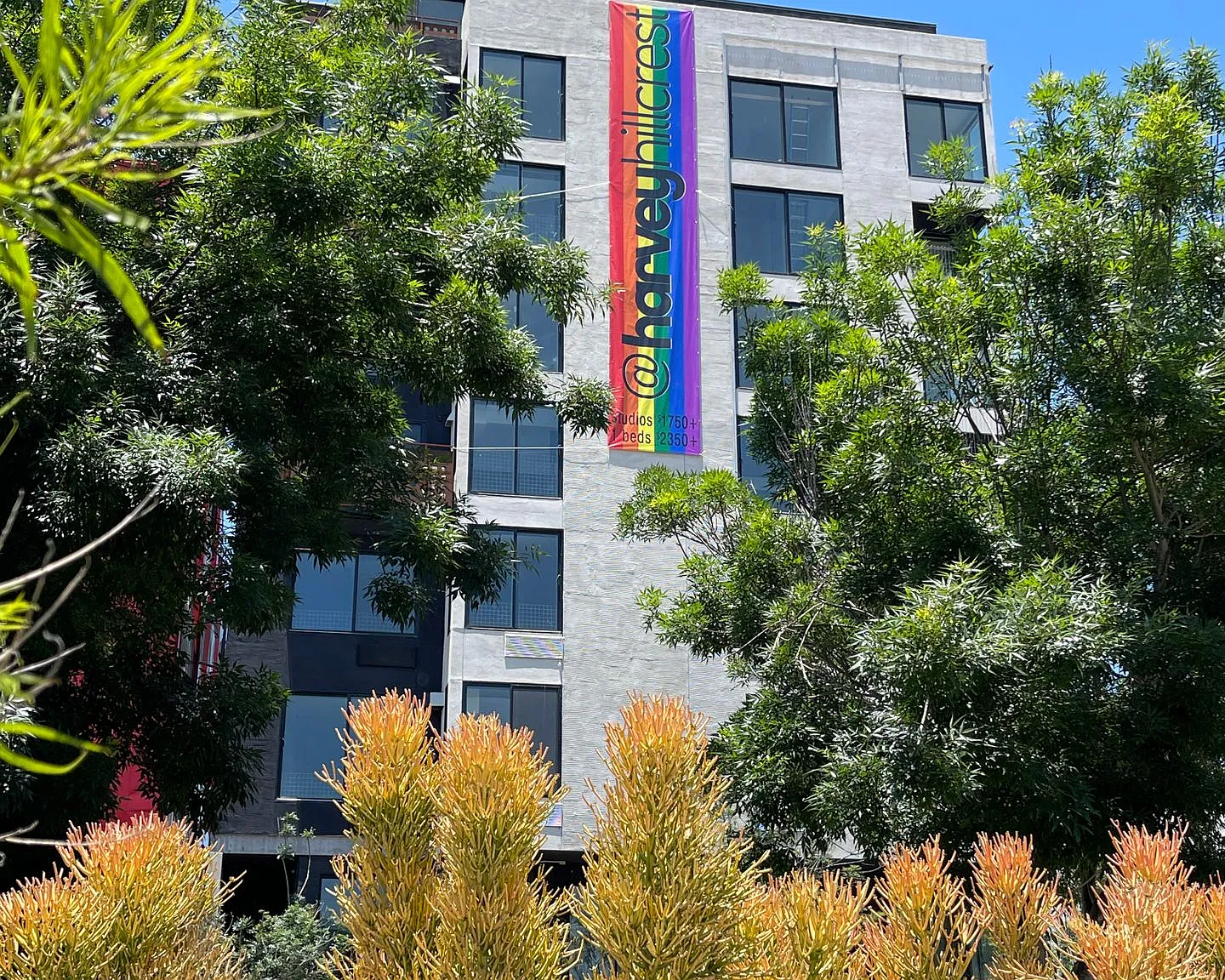 Harvey Hillcrest — Photo 2