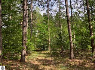 0 Hanmer Rd, Benzonia, MI 49616