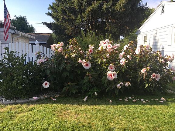 5th image of 403 Arlington Ave