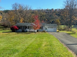 217 Owego St, Candor, NY 13743