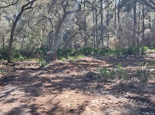 119 Gardenia Avenue, Georgetown, FL 32139