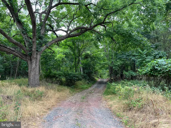 Gaither Rd, Great Cacapon, WV 25422