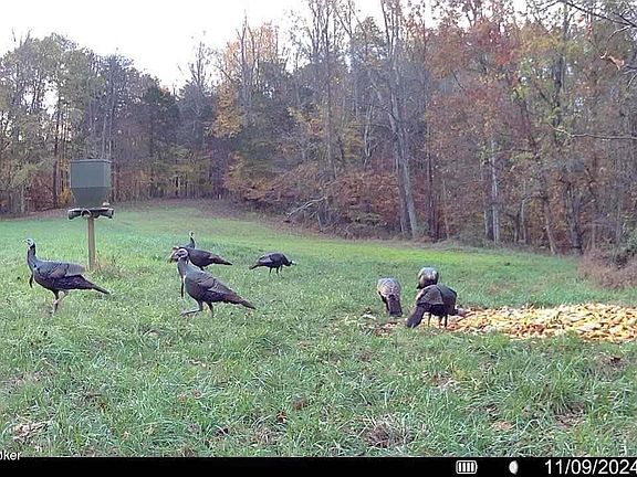 5th image of 284 Possum Hollow Rd