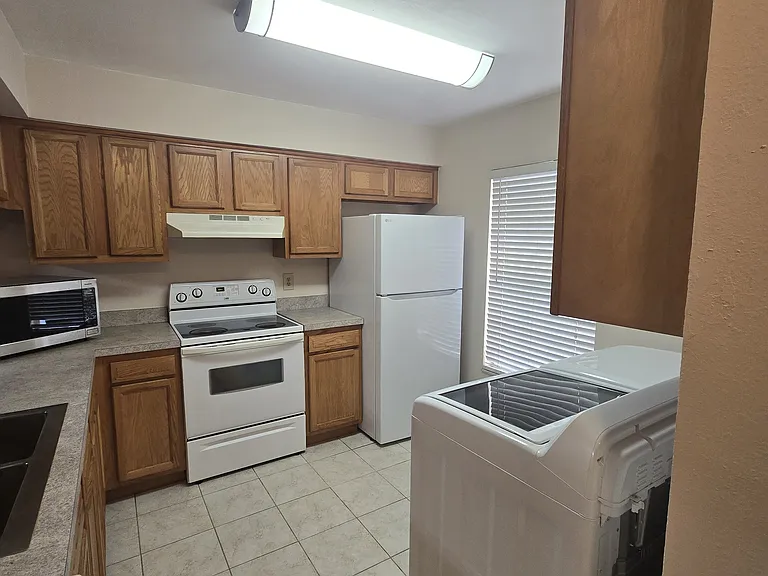 5202 Sunridge Palms Dr #5202 — Photo 8