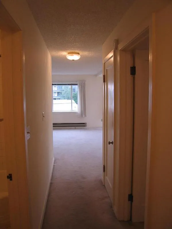 1 bed, 850 sqft, $1,595 — Photo 2