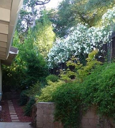 4th image of 1980 Bandos Ln