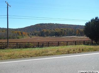 9869 State Highway 79 S, Guntersville, AL 35976