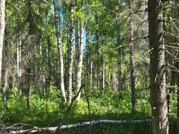 49701 S Denali View Dr, Talkeetna, AK 99676
