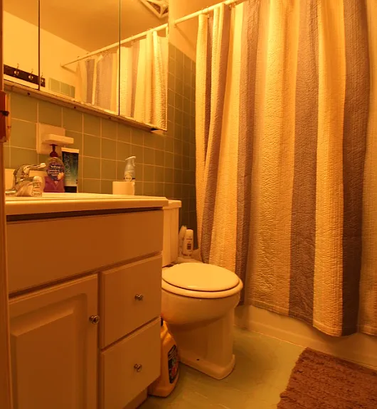 260 S Alder St — Photo 7