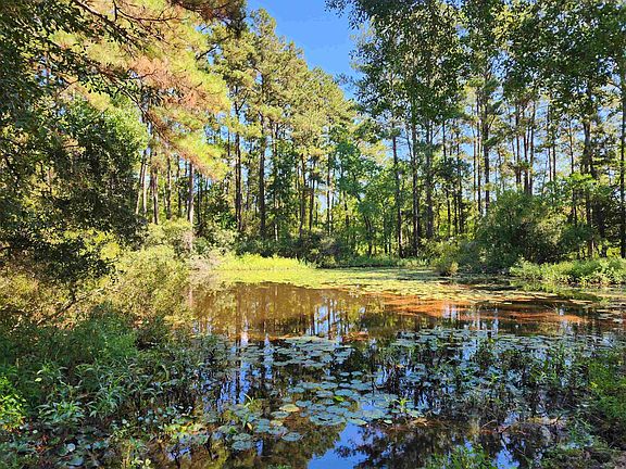 4th image of 1238 Hayes Rd