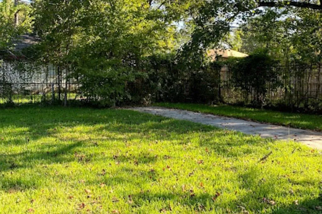 2 bed, 1.0 bath, $899 — Photo 3