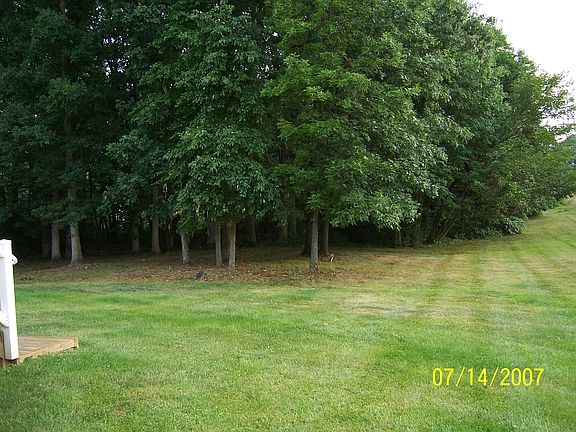 Wooded Backyard
