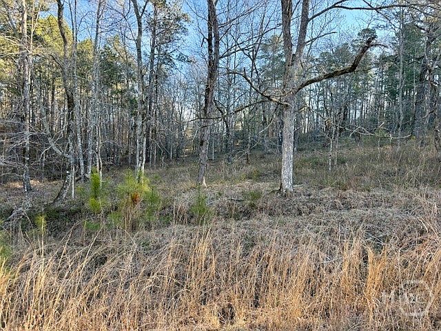 2nd image of 0 River Ridge Trail #396