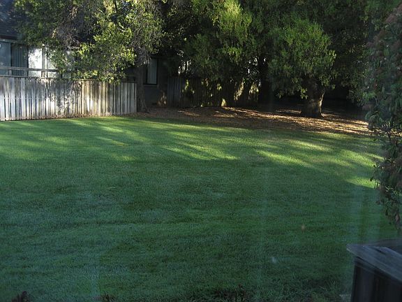 Large Back Yard 