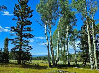 284 Aspen Trl, Cimarron, CO 81220