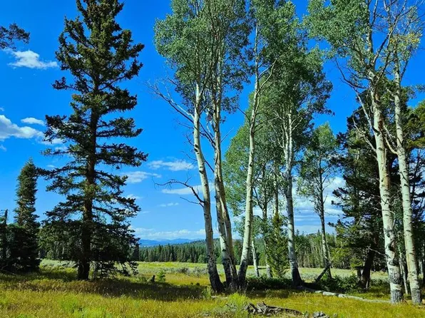 284 Aspen Trail, Cimarron, CO 81220