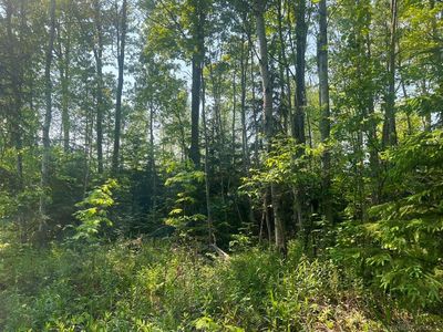 Us Highway 2 West Hwy, Marenisco, MI, 49947