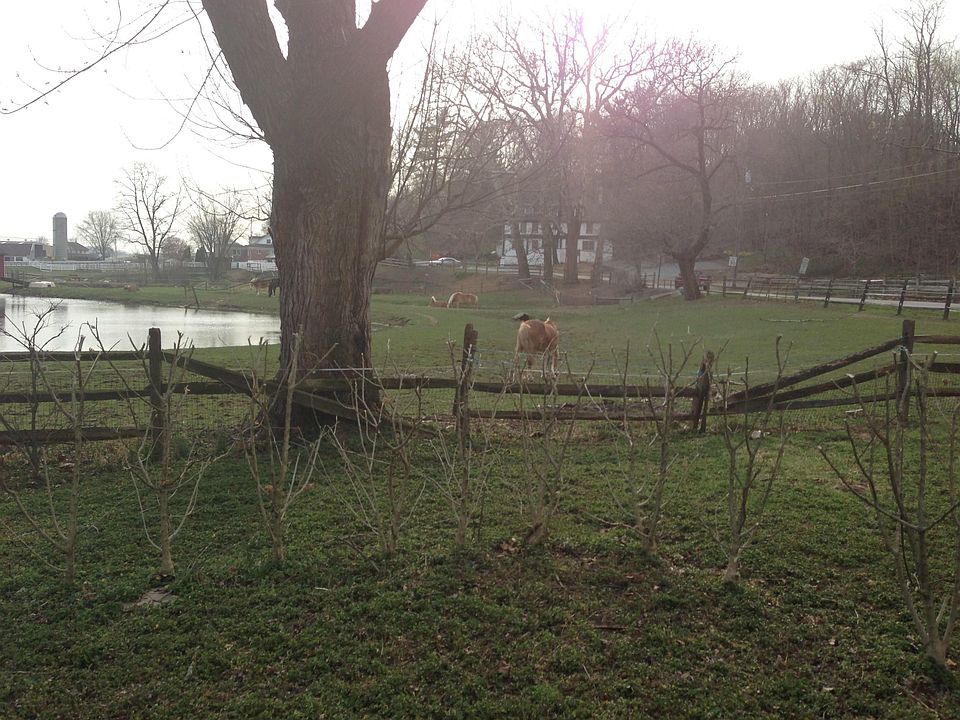 24 Green Tree Rd, Quarryville, PA 17566 Zillow