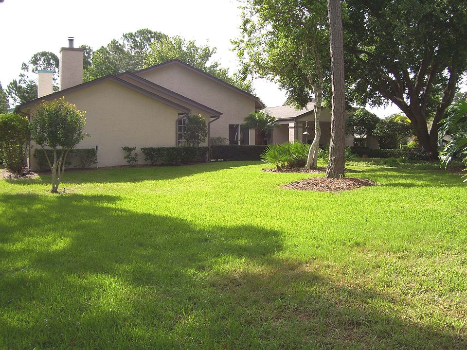 Side Yard In The Morning