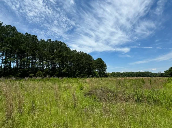 3 Confederate Hwy Parcel D, Fairfax, SC 29827