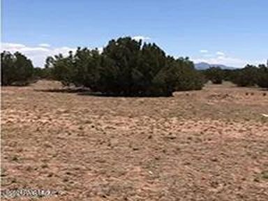 84 Juniper Woods, Ash Fork, AZ, 86320