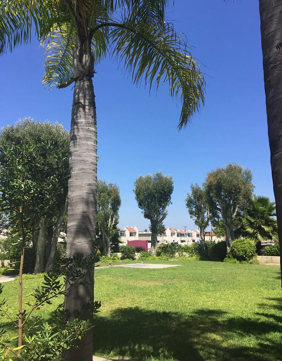 2 bed, 1200 sqft, $3,175 — Photo 3