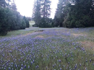Acres 66 Ant Hill Rd, Somerset, CA, 95684