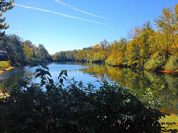 The Lakeview