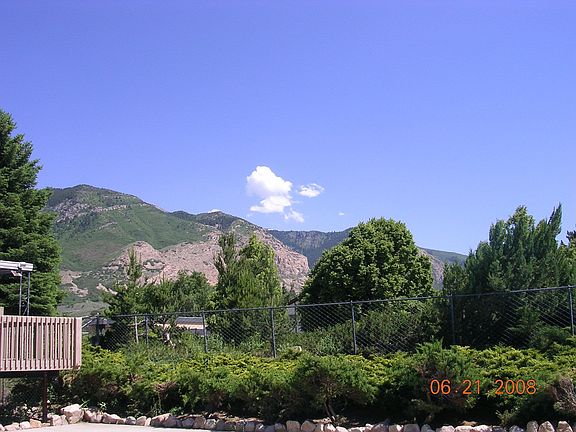Family Pool View