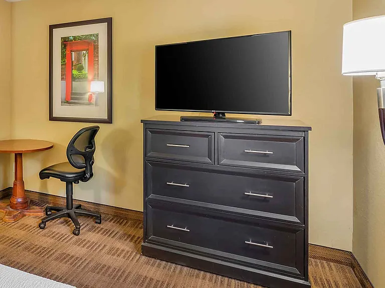 Studio Suite - 1 Queen Bed