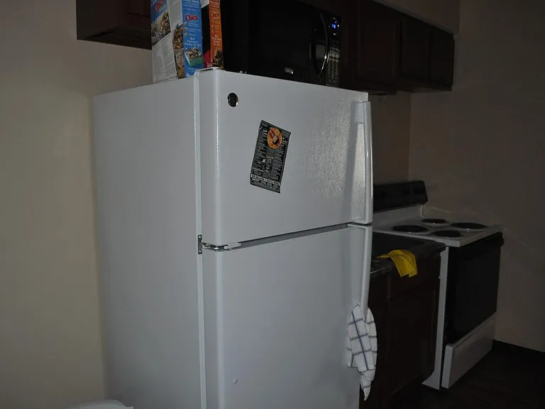 906 Harlocke St #2 — Photo 3