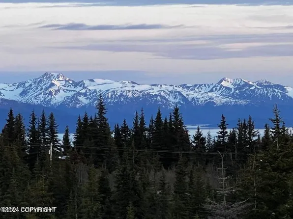 36387 Hutcheon St, Homer, AK 99603