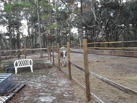 Horse paddock/w shelter. 