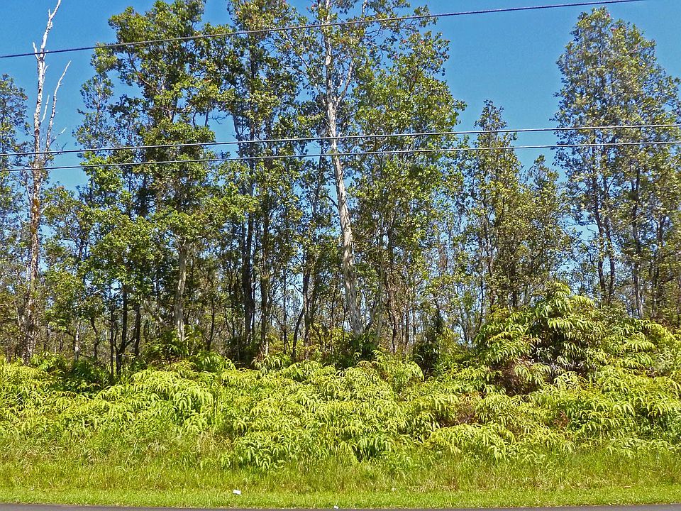 Looking into the center of lot 24