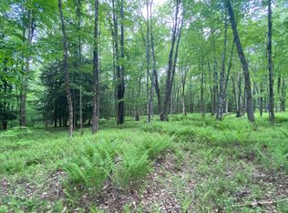 0 Country Rd, Schenevus, NY 12155
