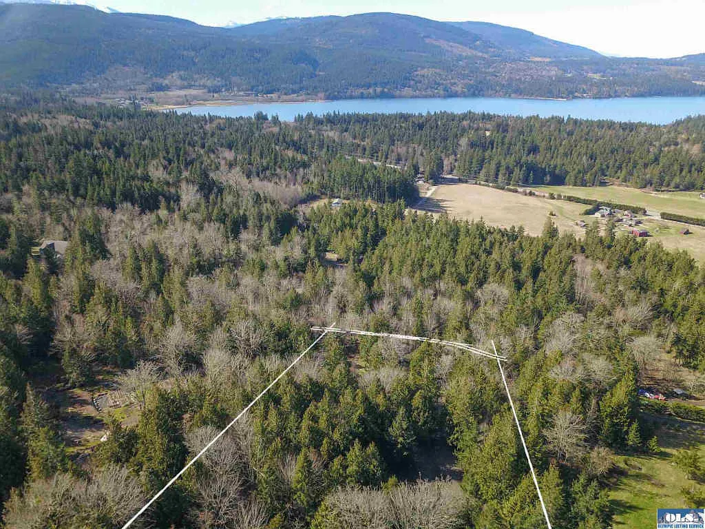 457 Spotted Owl Ln photo 1