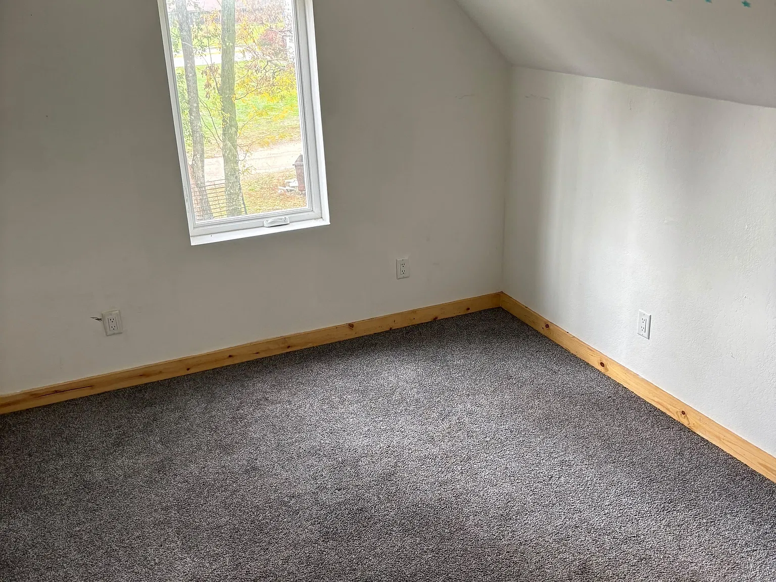 1517 4th Avenue South - 3 — Photo 1