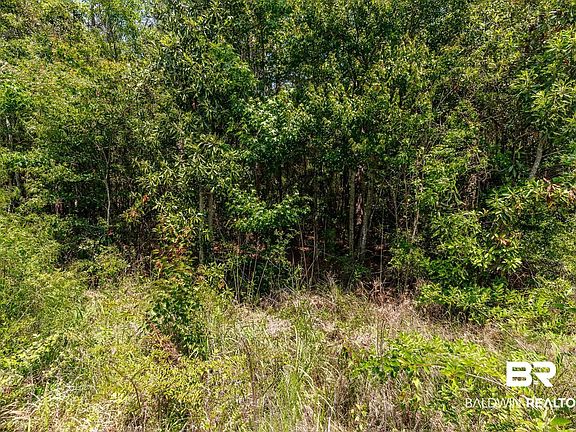 3rd image of 0 Scenic Highway 98