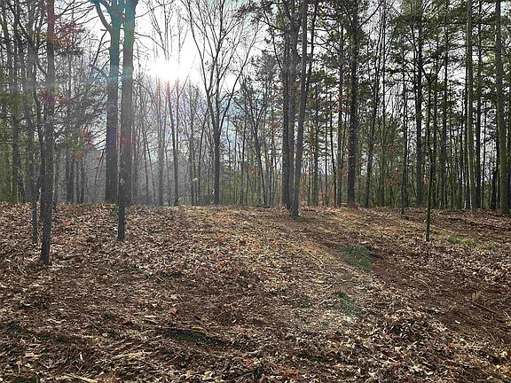 2nd image of 914 Park Swain Rd