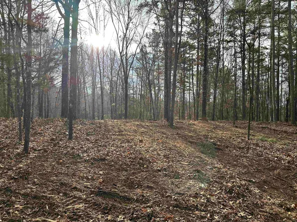 914 Park Swain Rd, Grand Junction, TN 38039