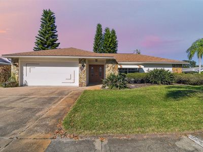 2079 Egret Dr, Palm Harbor, FL, 34683