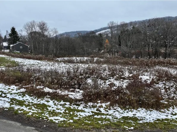 Hencoop Hollow Rd Lot 23, Ellicottville, NY 14731