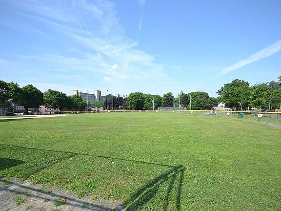 Kiley Park