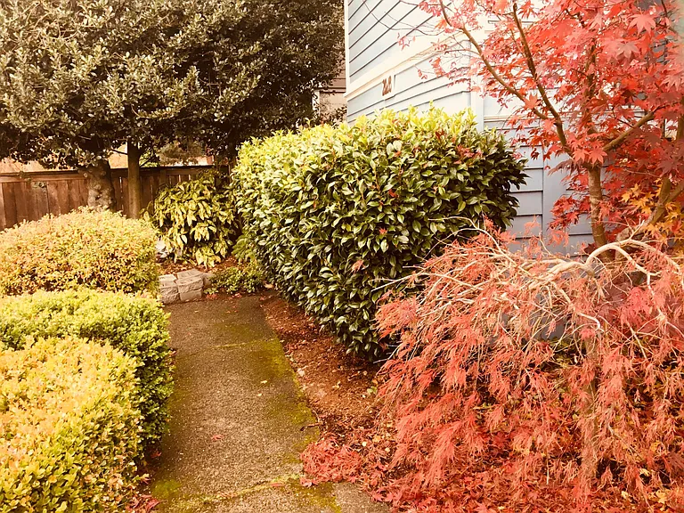 2028 14th Ave W #D — Photo 40