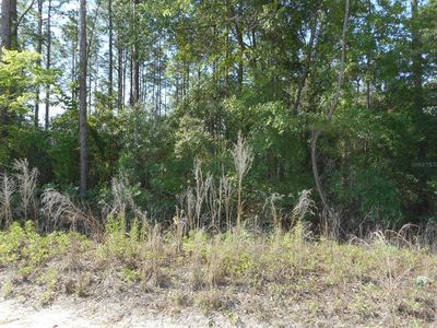 SW 51ST LANE LOT 43, Dunnellon, FL, 34432